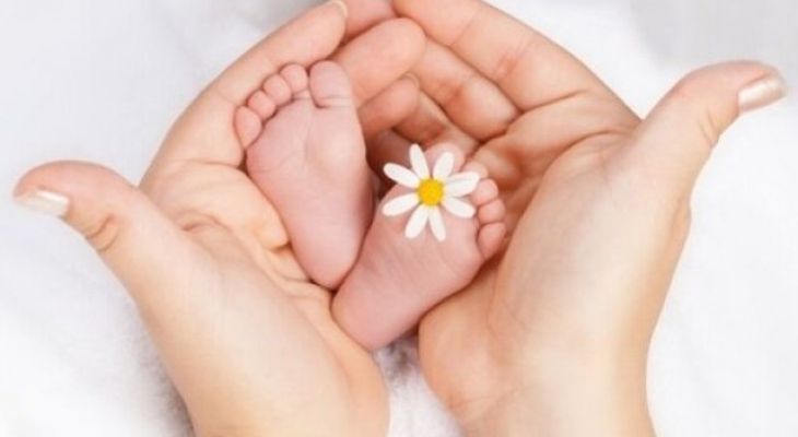 تاثیر تربیت، فراتر از اقتصاد، بر فرزندآوری