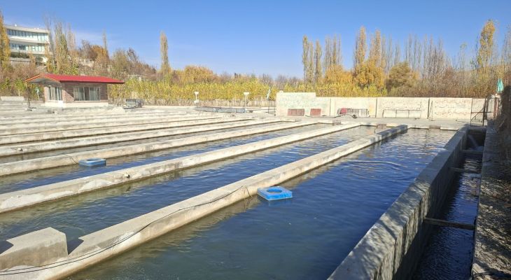شیلات؛ موتور محرک اشتغال پایدار