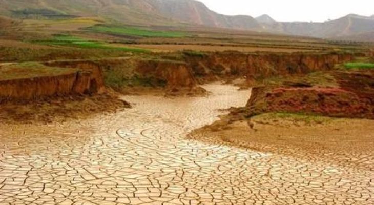 دشت بهار زیر سایه سنگین خشکسالی