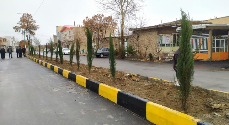 هفتمین پویش درختکاری اجرا شد