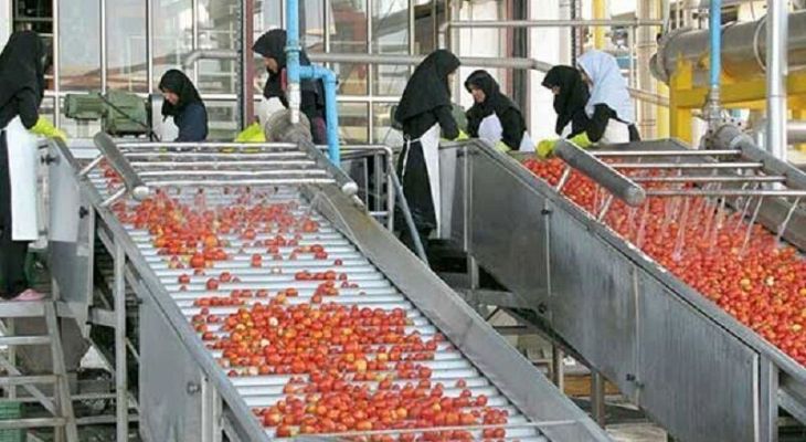صنایع تبدیلی همدان؛ موتور خاموش اقتصاد کشاورزی
