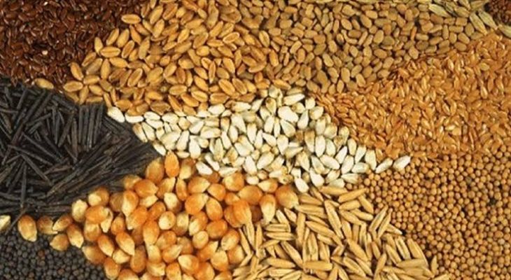 نوسان نهاده‌ها، تهدید سفره‌های همدانی‌ها