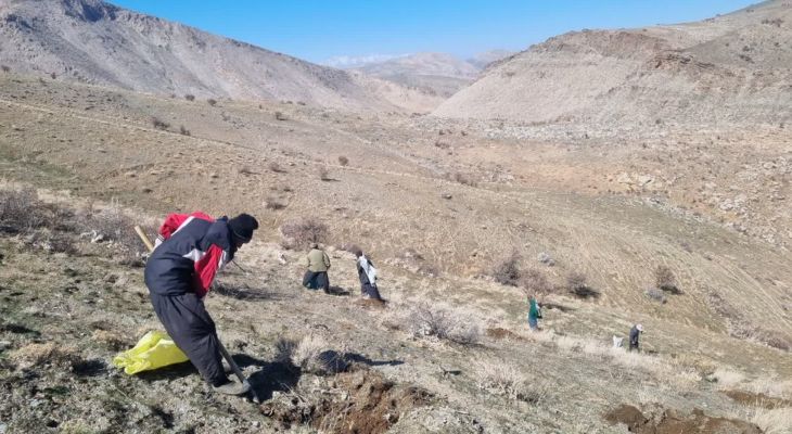 نهال‌کاری در ۶۰ هکتار از منابع طبیعی نهاوند