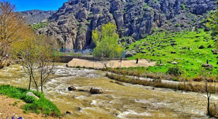 اردیبهشت رویایی نهاوند