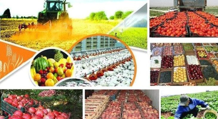 شهرک‌های کشاورزی موتور محرک اشتغال پایدار