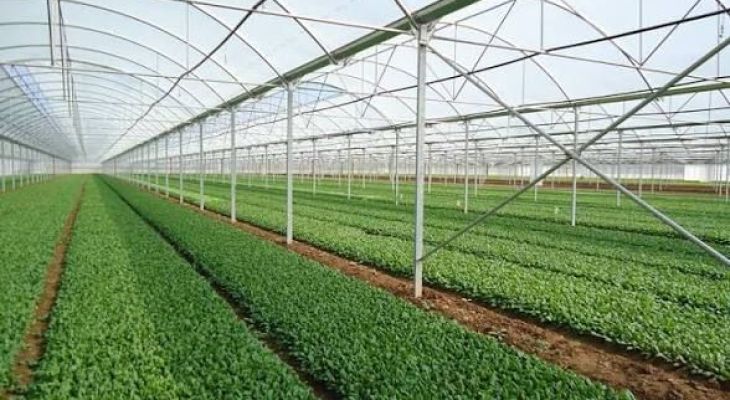 برندگان واقعی، بذر زندگی را در خاک‌وطن کاشتند
