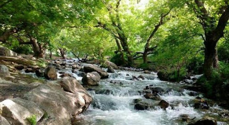 سراب فارسبان؛ آمیزه‌ای از کوه، رود و جنگل