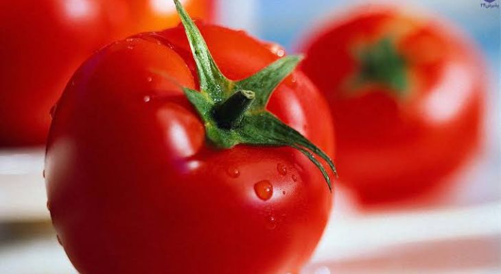 تناقض در سیاست‌های صادراتی